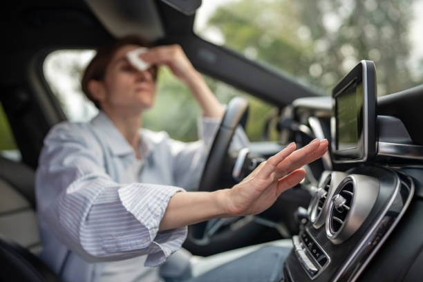 Best Thermostats and Smart Controls in Redwater, TX